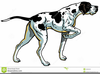 Free Hunting Dog Clipart Image