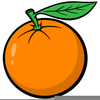 Orange Blossoms Clipart Image