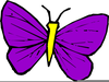 Butterfly Cliparts Image