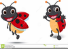 Cartoon Lady Bug Clipart Image