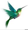 Free Clipart Hummingbird Image