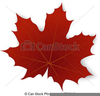 Red Maple Leaf Clipart Image