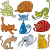 Crazy Cat Clipart Free Image