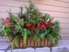 Decorative Christmas Planters Image