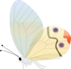 Transparent Butterfly Clip Art