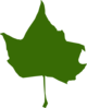 Torn Maple Leaf Dark Green Clip Art