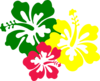 Hibiscus Flowers Clip Art