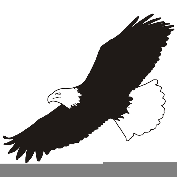 Free Clipart Eagle Soaring | Free Images at Clker.com - vector clip art  online, royalty free & public domain