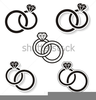 Wedding Rings Clipart Free Image