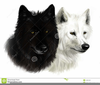 Information About Wolves Clipart Image