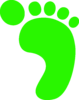 R Foot Print Green A Image