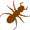 Brown Ant Clip Art