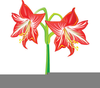 Flower Tattoo Clipart Image
