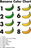 Banan Color Chart Clip Art