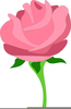 Free Rose Clipart Images Image