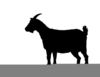 Free Dairy Goat Clipart Image