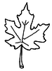 Autumn Leaves Coloring Pages Image