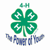 Clipart H Clover Image