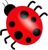 Ladybug 3 Clip Art