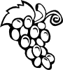 Grape Vine Clip Art
