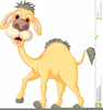 Free Camel Clipart Cartoon Image