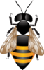 Bee Hd  Clip Art