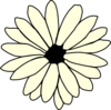 Ivory Daisy Clip Art