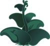 Ilmenskie Zutto Plant Clip Art
