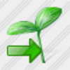 Icon Sprouts Export Image