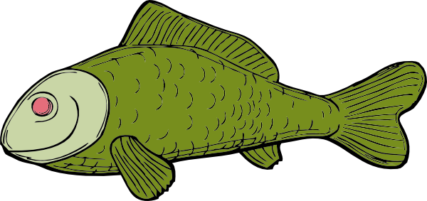 Green Fish Clip Art at  - vector clip art online, royalty free &  public domain