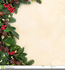 Free Christmas Greens Clipart Image