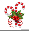 Christmas Holly Free Clipart Image