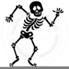 Free Clipart Skeleton Bones Image