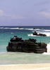 Armored Amphibious Vehicles (aav) Land On Blue Beach Vieques. Image