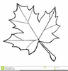 Clipart Sugar Maple Leaf Image