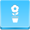 Pot Flower Icon Image