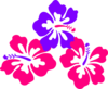Hibiscus Trio Clip Art