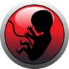 Human Embryo (silhouette) Clip Art
