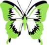 Green Black Butterfly Clip Art