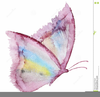 Butterfly Clipart For Wedding Invitations Image