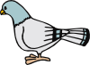 Pigeon 1 Clip Art