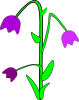 Purple Bell Flowers Clip Art