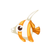 Angelfish Animated Image