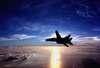 F-14 Flying At Sun Set Image