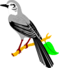 Mockingbird Clip Art