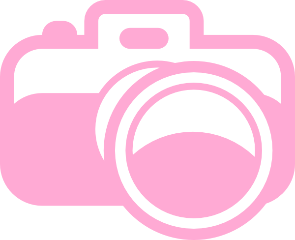 Pink Camera Clip Art at Clker.com - vector clip art online, royalty free &  public domain