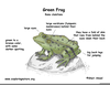 Frog Habitat Diagram Image