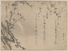 Plum Blossoms Of The Third Day Of The New Year. Image