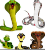 Year Of The Snake Free Clipart Image