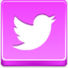 Free Pink Button Twitter Bird Image